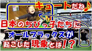 海外の反応 日本に感動!!「可愛すぎてヤバい!!」ラグビーW杯日本大会で日本人の子供たちに起こったまさかの現象!!に泣けると世界の外国人も涙し歓喜した訳とは！？