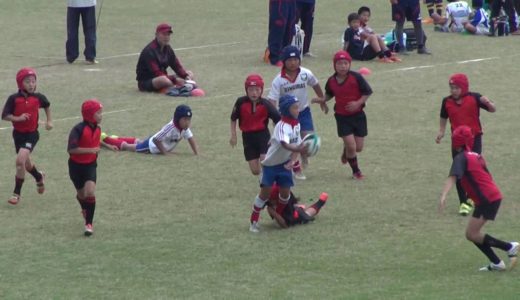 女子ラグビー 小学生ラガールのタックル・トライ japanese girl rugby tackles