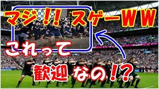 海外の反応 日本のラグビーW杯の歓迎式でオールブラックスが日本人の子供達に受けたまさかの歓迎!!にニュージーランド人が泣けるほど感動した訳とは？
