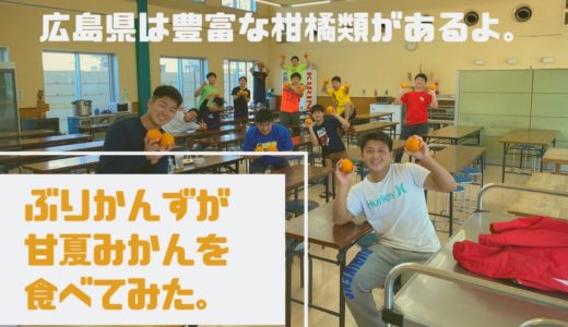 【○○してみたシリーズ】尾道高校ラグビー部が広島県の甘夏みかんを食べてみた。