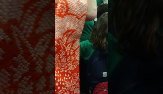【ラグビーワールドカップ2019】日本vsアイルランド戦終了後の東海道線車内