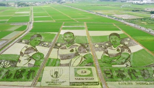 ラグビーＷ杯応援「田んぼアート」が見頃…埼玉・行田