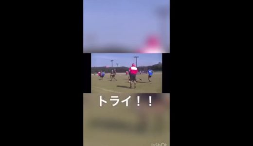 日本体育大学タッチラグビーサークル