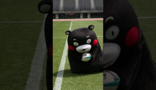 くまモンがラグビーに挑戦してみた！【トライ編】