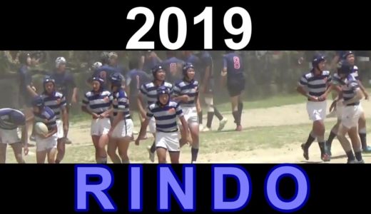 2019 RINDO