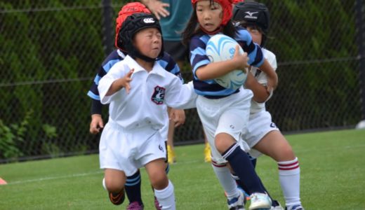 ラグビーやろうよ!!　(楕円桜編)  福岡市ラグビー協会