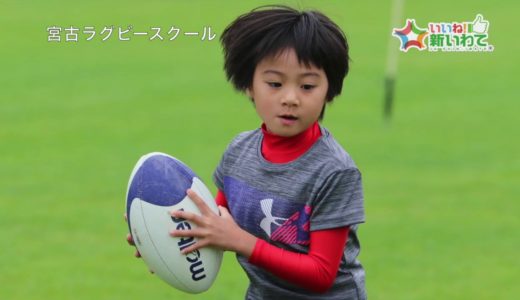 【スポ少】宮古ラグビースクール（宮古市）【応援】