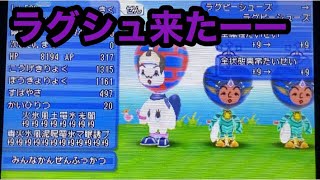 ついにラグビーシューズをゲットしました【電波人間のRPGフリー】