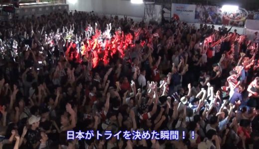 ラグビーワールドカップ2019　日本対アイルランド戦