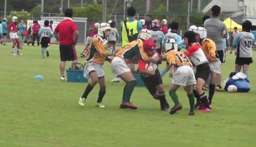 小学生ラグビー　岐阜県　関ラグビースクール（赤）ＶＳ　西宮・西宮甲東（黄）