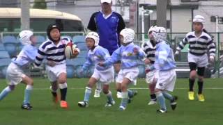 花園ラグビー場　こどもラグビー