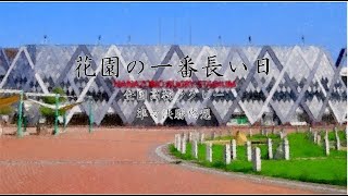 花園の一番長い日　全国高校ラグビー準々決勝感想