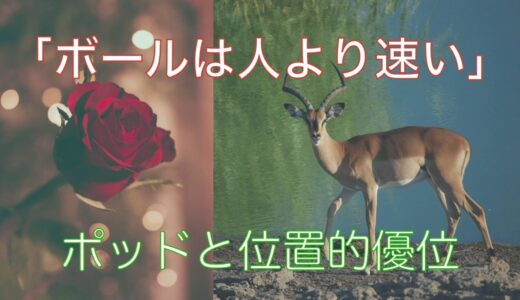 【ラグビー】ポッド入門【位置的優位】