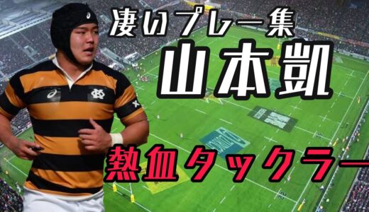 山本凱の凄いプレー集【熱血タックラー】