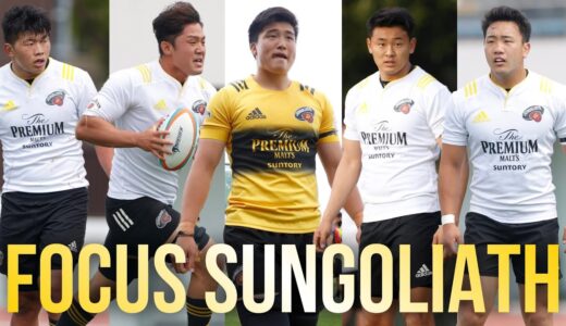 Focus SUNGOLIATH / Rookies features