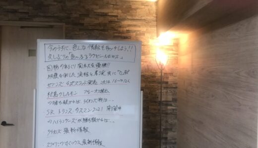 久しぶりの　気になるラグビーNEWS！　今のウチに色んな情報をキャッチアップ！