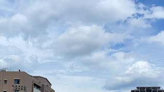 準々決勝 りんどうvs玄海 【後半LIVE】2021福岡県中学ラグビー大会