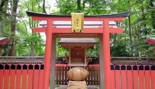 カンちゃんの京都散歩　下鴨神社の巨大なラグビーボール形さい銭箱、さわた社とラグビー第一蹴の地を訪れてみた　ラグビーボール型の絵馬等、ラガーマンパラダイス？