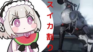 【パニグレ】スイカ割り&スイカラグビー