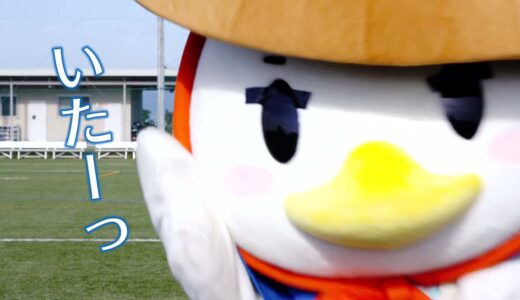 こんなトコにも、しがの助　ラグビー編