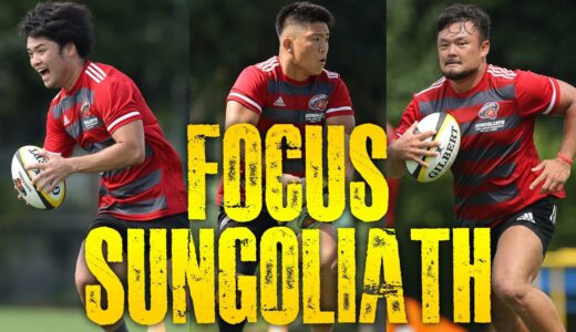 FOCUS SUNGOLIATH / New Comers