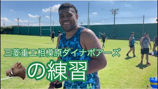 🐗の練習〜ラグビー三菱重工相模原ダイナボアーズ〜