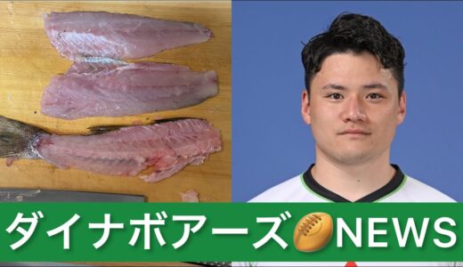 ダイナボアーズ🏉ニュース〜ラグビー三菱重工相模原ダイナボアーズ〜