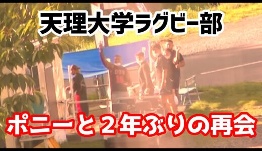 天理大学ラグビー部 ポニーと２年ぶりの再会