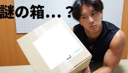 現役ラグビー選手がオススメするサプリ&プロテイン5選ご紹介します！