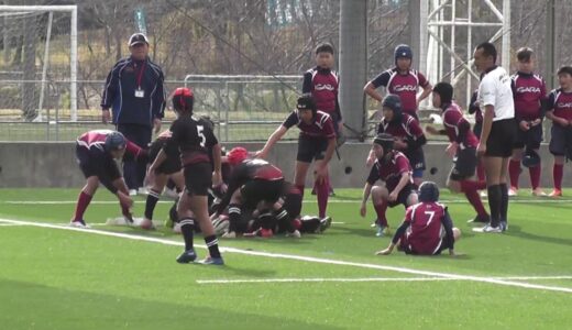 小学生ラグビー　岐阜県　関ラグビースクール（黒）　対　伊賀良ラグビースクール（紫）