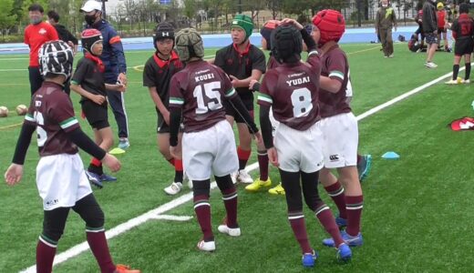 【小学生ラグビー】Sean Miyoshi U11 Rugby Beast!! #4