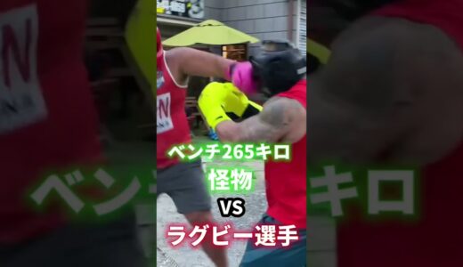 ベンチ265kg vs ラガーマン#shorts #ラグビー #ラグビー日本代表