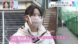 第101回全国高校ラグビーハイライト【12/27  報徳学園vs茗溪学園】