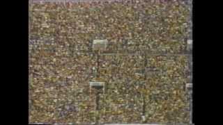 '82年「激突！早明ﾗｸﾞﾋﾞｰのすべて」1/5