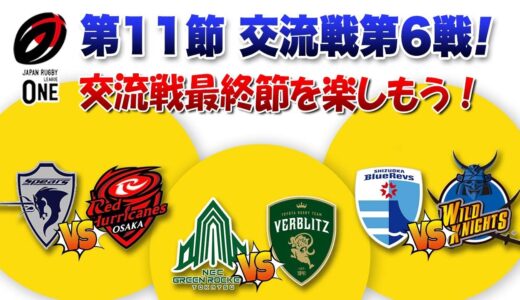 交流戦FINALを楽しもう！ラグビーリーグワン第11節【レッドハリケーンズvsスピアーズ】【ヴェルブリッツvsグリーンロケッツ】【ワイルドナイツvsブルーレヴズ】メンバー見ての試合の見どころ