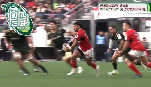 【深掘り】トヨタヴェルブリッツ vs. 東芝ブレイブルーパス東京｜ラグビーわんだほー！#rugby